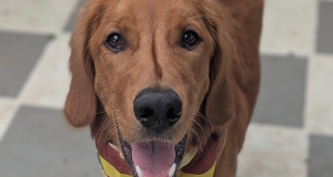 Milo