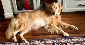 Chloe