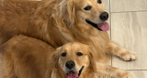 Penny and Cash