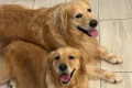 Penny and Cash
